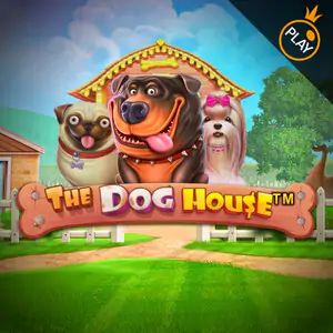 The Dog House The Dog House